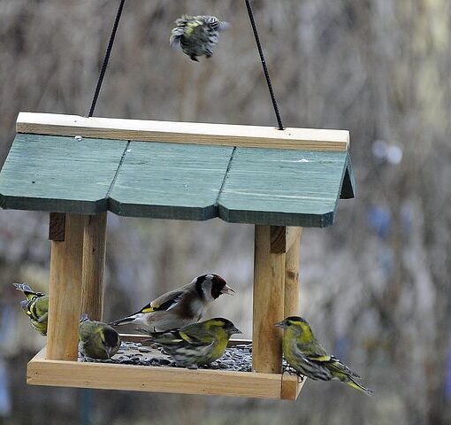 Futterhäuser für Vögel